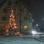 Bild (133)